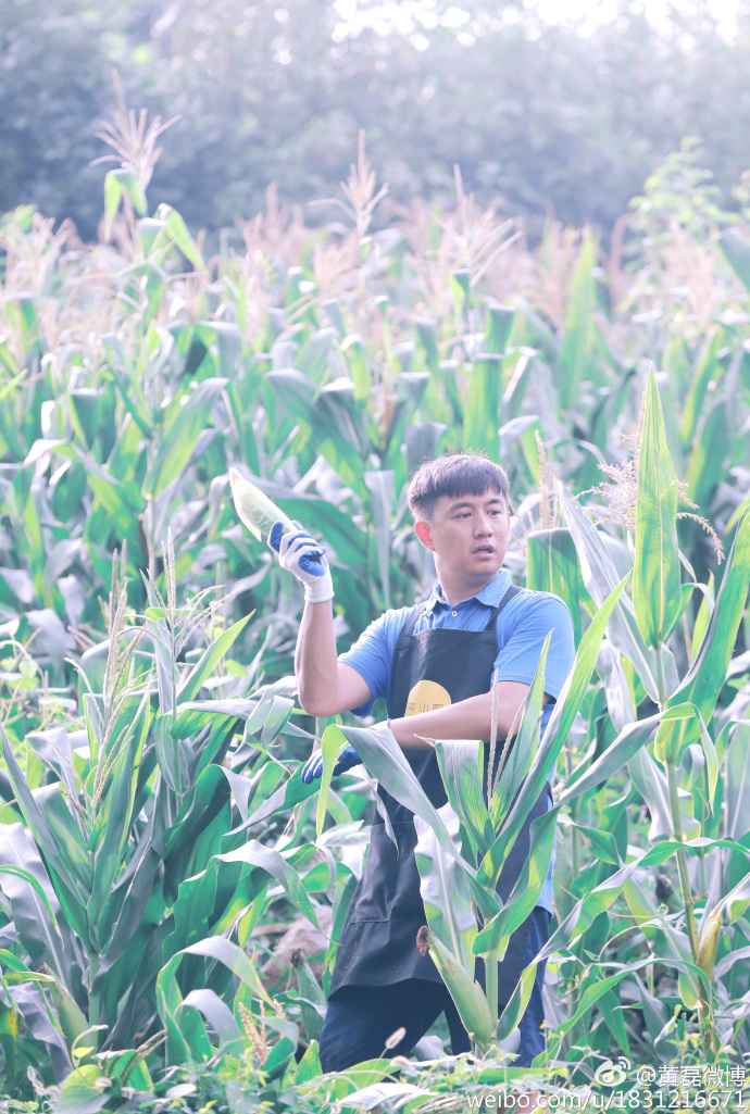 henry刘宪华向往的生活黄磊,黄磊何炅向往的生活2