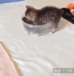 爆笑动态图：大自然，最杰出的艺术家！（第3182期）