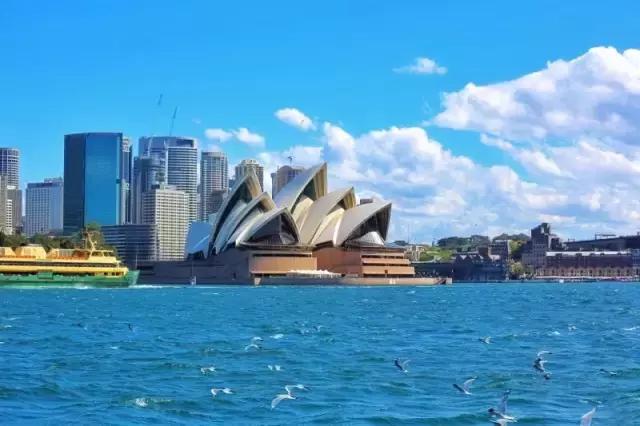 尖叫吧结局,尖叫吧完整版免费观看