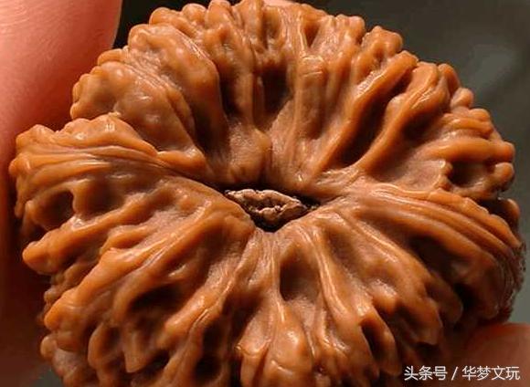 文玩核桃用绿松石封脐的方法,文玩核桃脐盘脏了