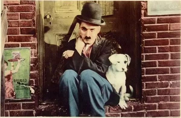 这些猫狗男女都爱看