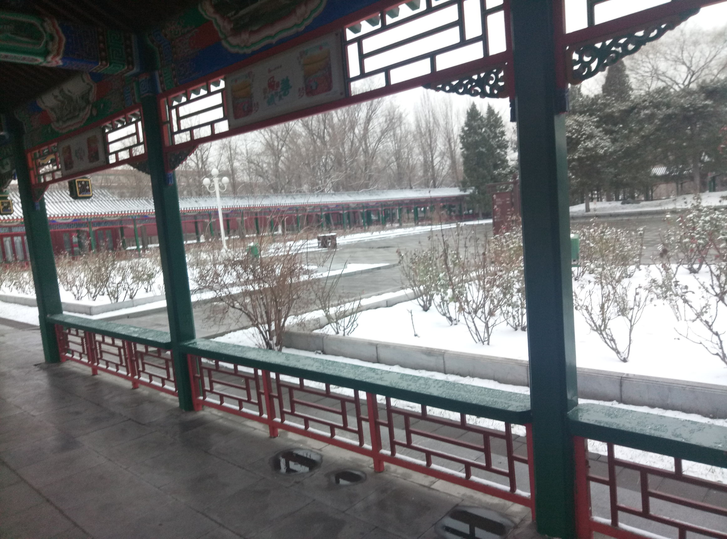 中山公园雪后图片,晚上的中山公园真是美极了