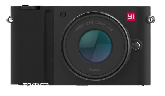 一千多株竞相开放的梅花,梅花相机