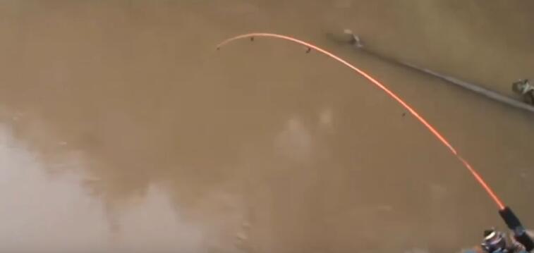 男子在河道钓龙虾,河里捕捉野虾视频