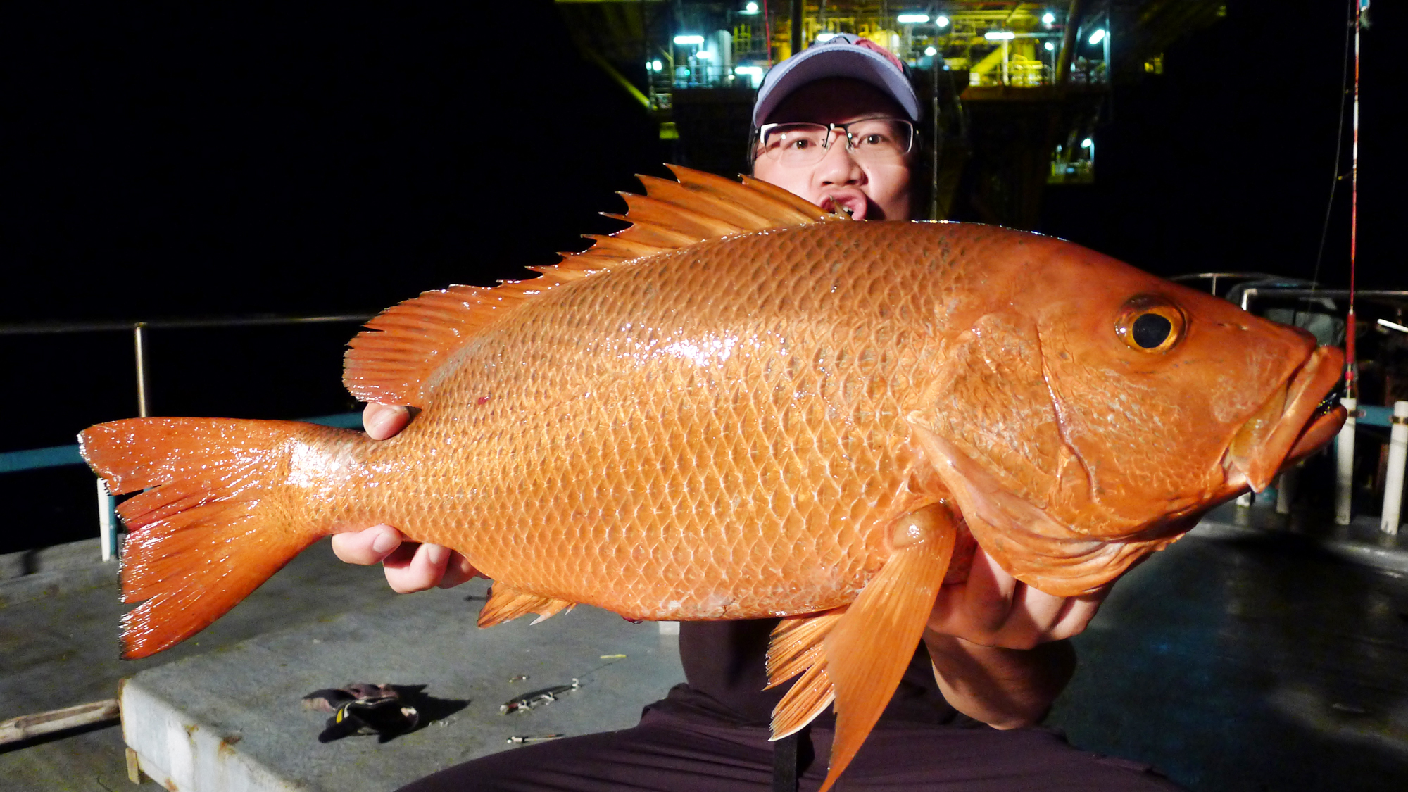 钓鱼有哪些肉食性鱼,海洋钓鱼常见鱼类