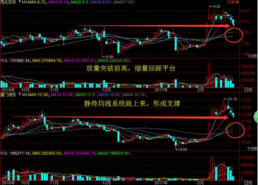 市场一旦回调这类股票保平安