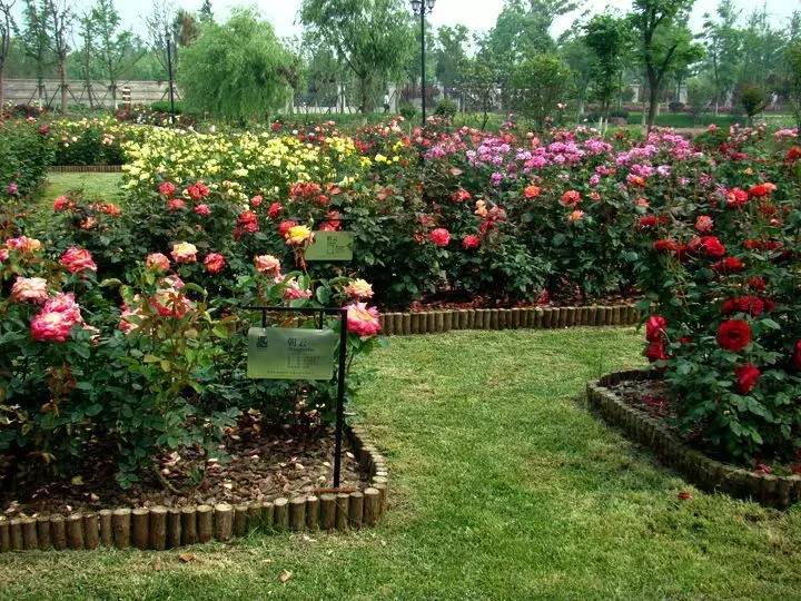 宁波情侣游玩约会好去处,宁波约会一日游