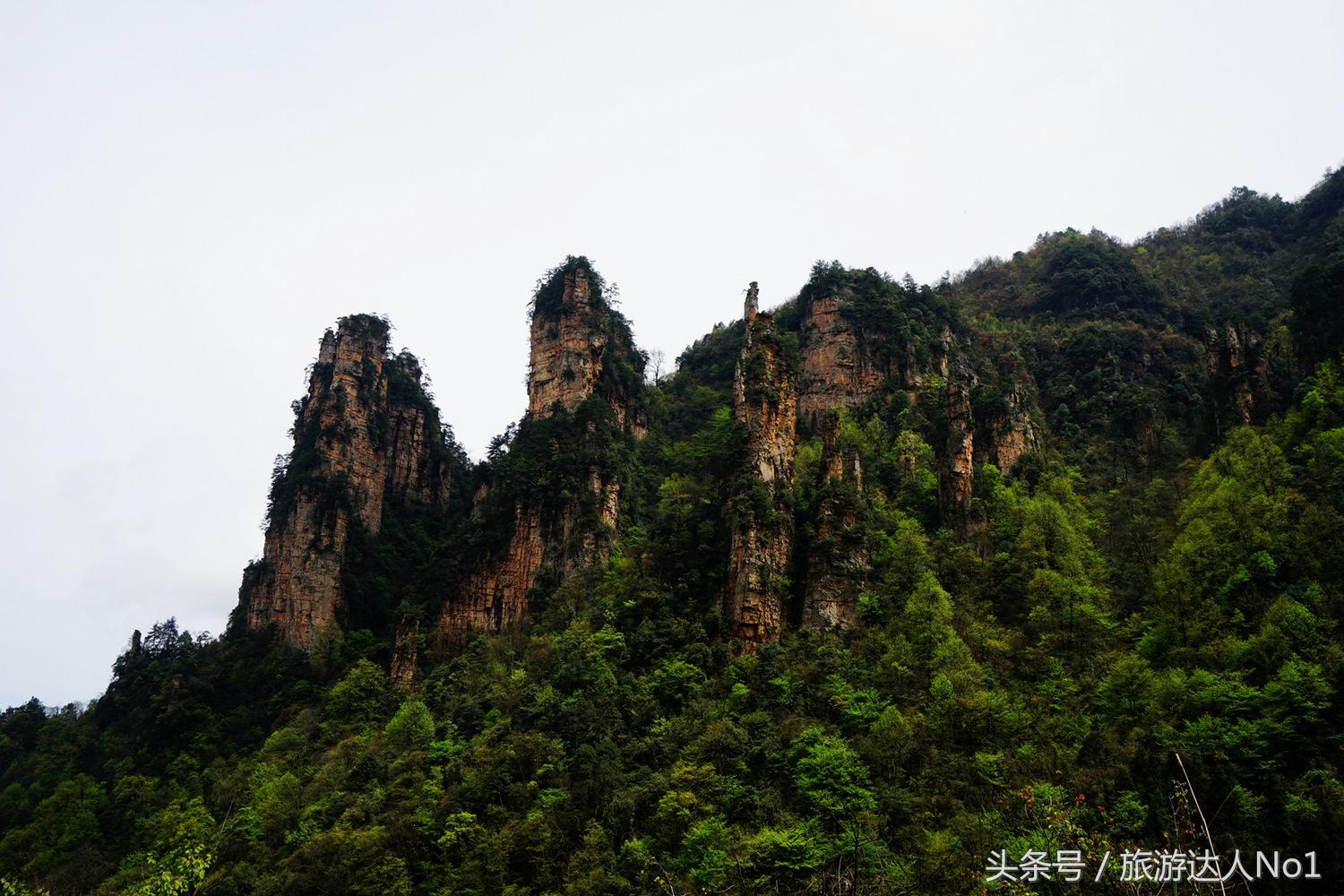 游记张家界8天旅游详细攻略,张家界天门山森林公园美景游记