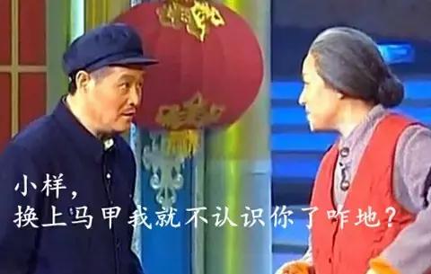 穿上马甲就不认识你了下一句,穿上马甲我就不认识你了表情包