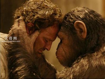 人类作为哺乳动物,为什么只有哺乳动物有体毛