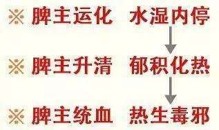 红豆薏米粥吃多久能祛湿气,红豆薏米粥正确做法祛湿气