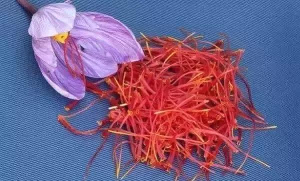 刘虎岐:想种植中草药来赚钱?这些知识点你得先了解!