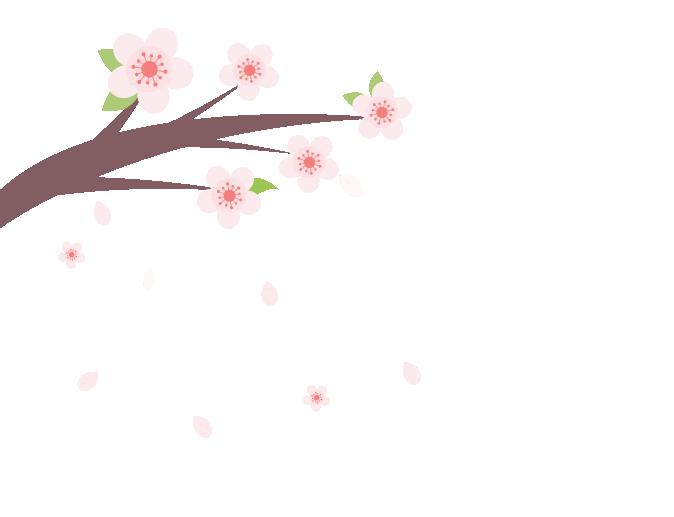 背爱马仕假包去专柜,爱马仕假包专柜