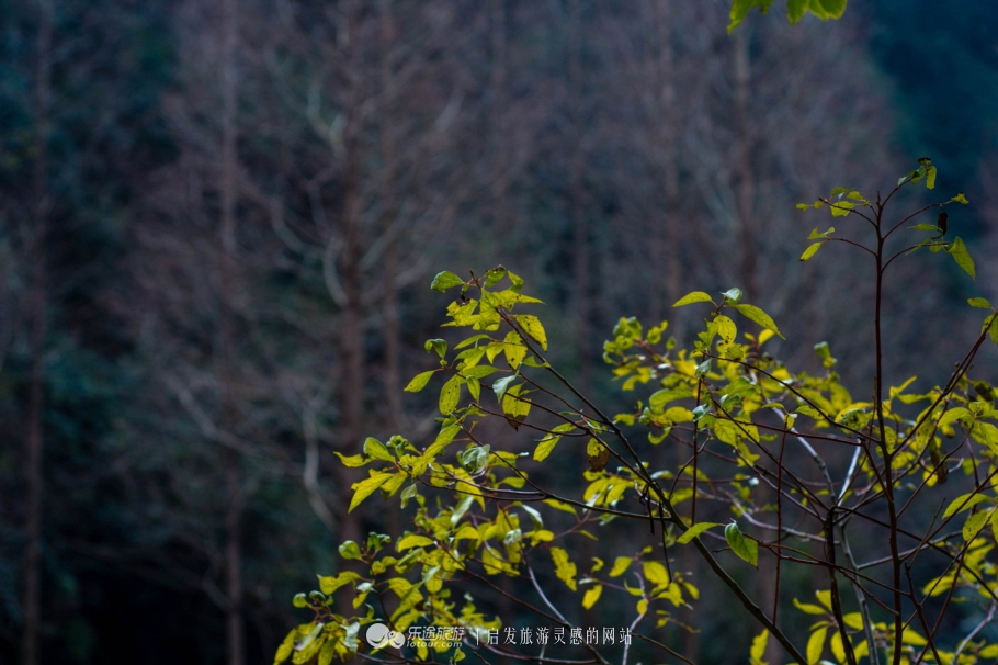 跟着镜头领略震撼心灵的景色,跟随镜头观人文与美景