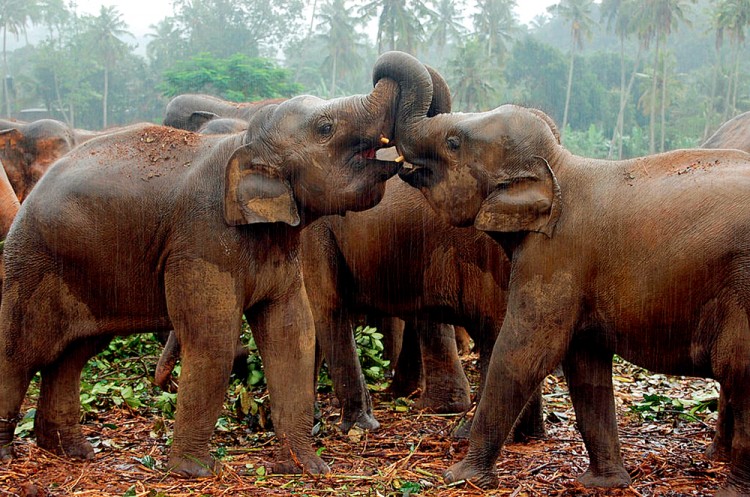 西双版纳从下飞机开始的攻略,进入西双版纳的视频