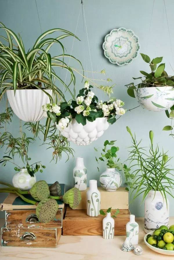 插瓶的花怎么才能开得久,插瓶的花刚开就蔫了怎么回事