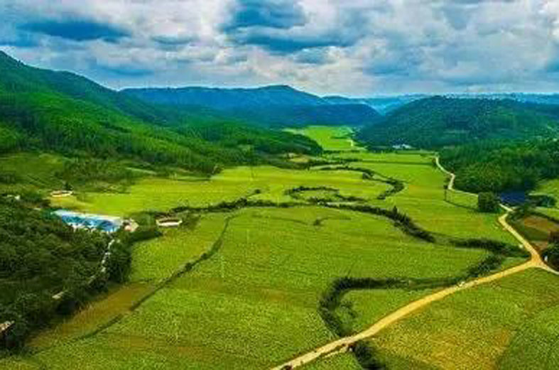 国采中心标书微调您发现了吗？