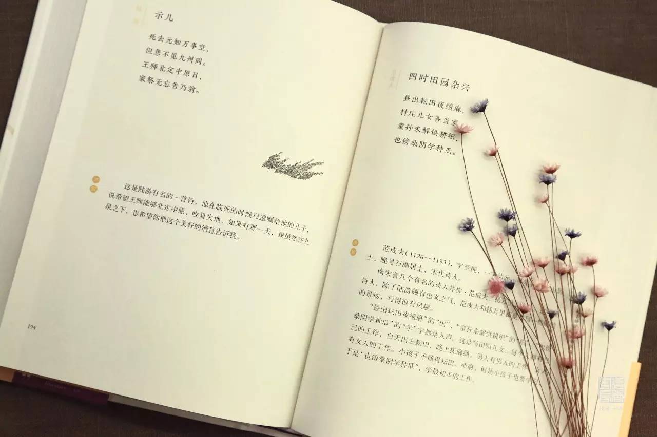 宝贝，我就是要给你诗意的人生