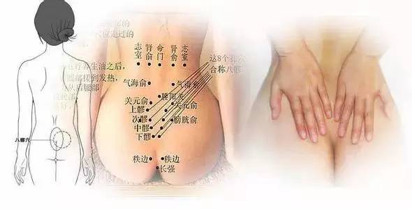 哪一类脂肪是人体肥胖的罪魁祸首,女性腰腹部胖的原因