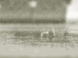 西安将迎雨雪降温天气,未来一周西安局地气温可达40度