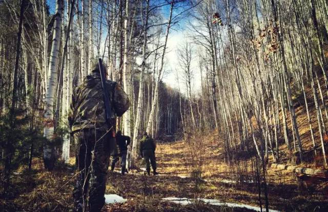 瀹炲脊鐙╃寧鏃呮父,鍥藉唴鐙╃寧涔嬫梾