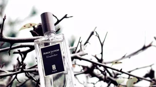 日本威士忌梅酒,日本的威士忌梅酒