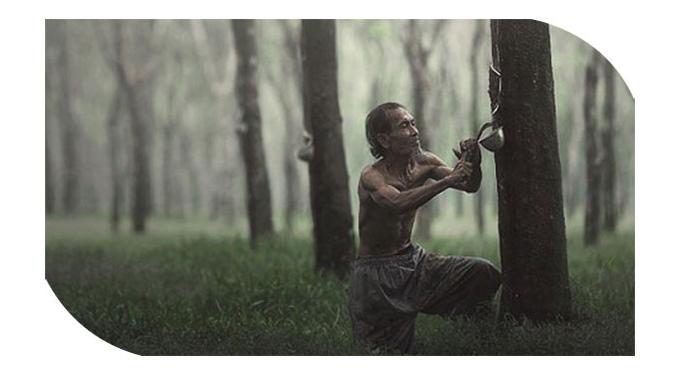 上海旅游买的乳胶枕头,海南旅游买的乳胶枕头是灰色的