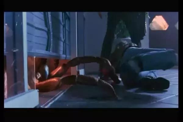 这是你们要的大长腿，备好纸巾，准备上下其手吧