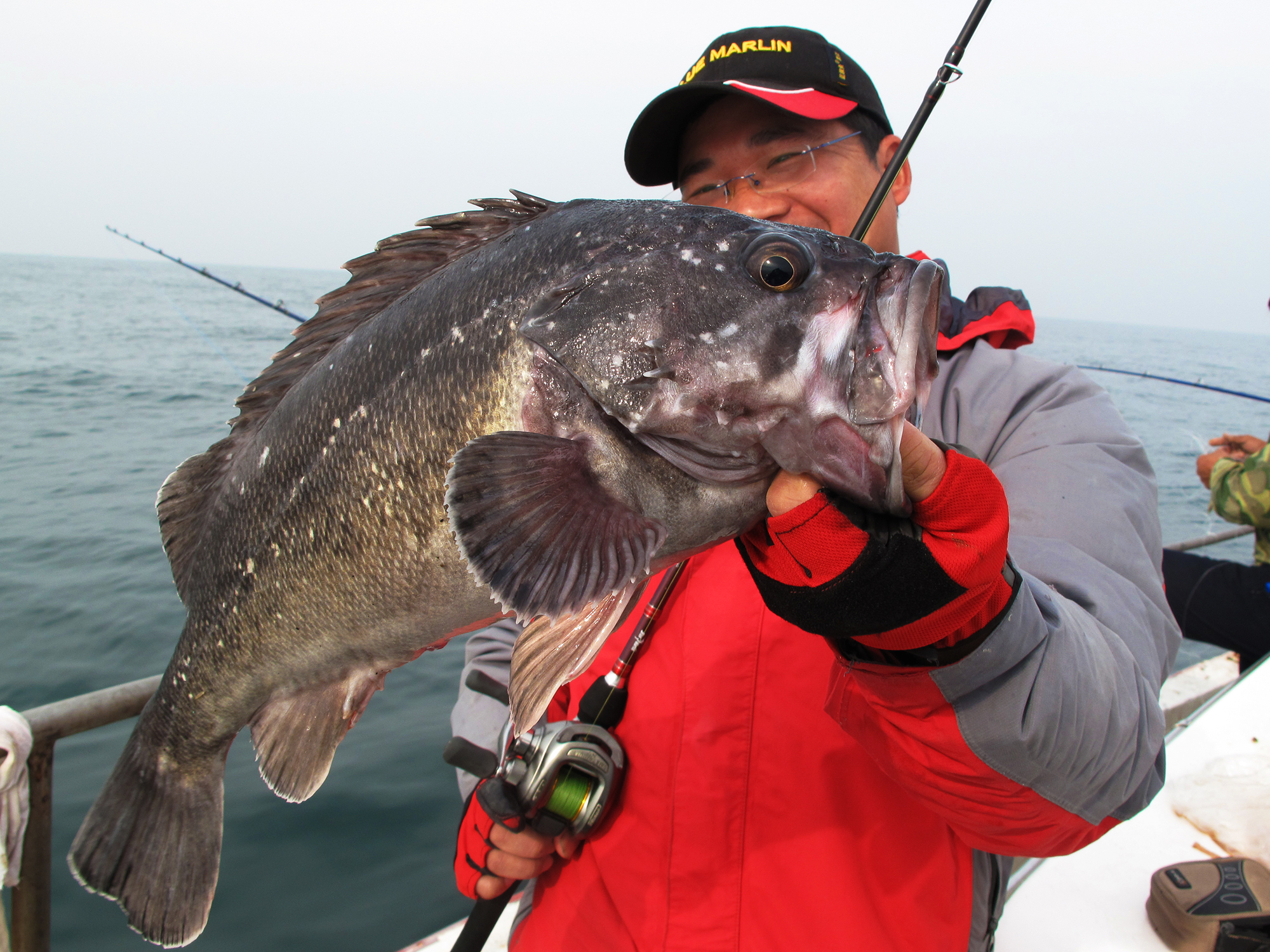 钓鱼有哪些肉食性鱼,海洋钓鱼常见鱼类