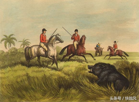 美女手上拿的是什么？猎杀最凶猛动物的复古*器武**