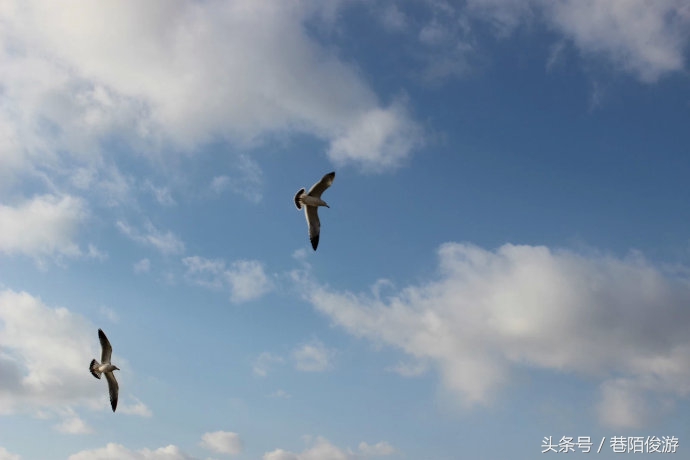 辛弃疾十大巅峰名篇及解析,宋词辛弃疾十大最美巅峰之作