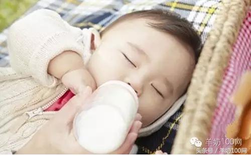 补充营养最好的羊奶科普,补钙奶粉推荐中老年牛奶还是羊奶