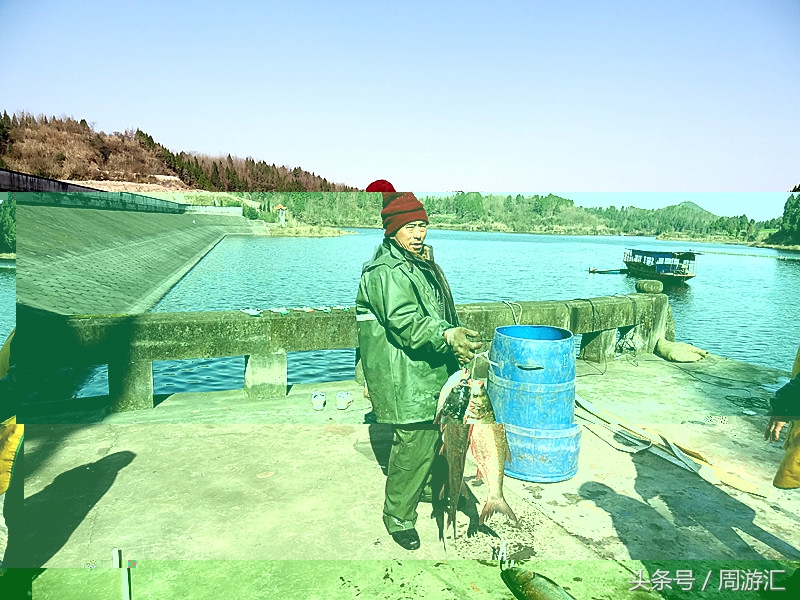 西充青龙湖湿地公园,西充青龙湖湿地公园图片大全