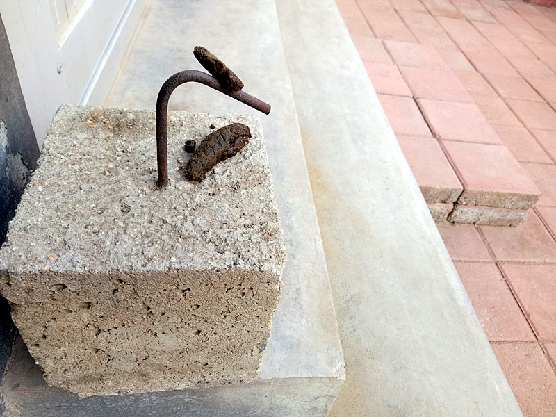 当我抬脚正要进屋时,目光突然被脚下一块顶门砖吸引了!