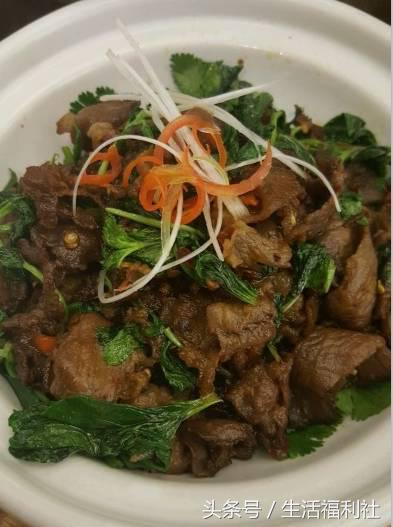 哈尔滨地铁哪一站有美食,哈尔滨地铁1号线小吃街