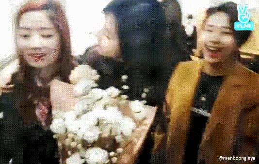 sana和twice合照,twicesana可爱表情