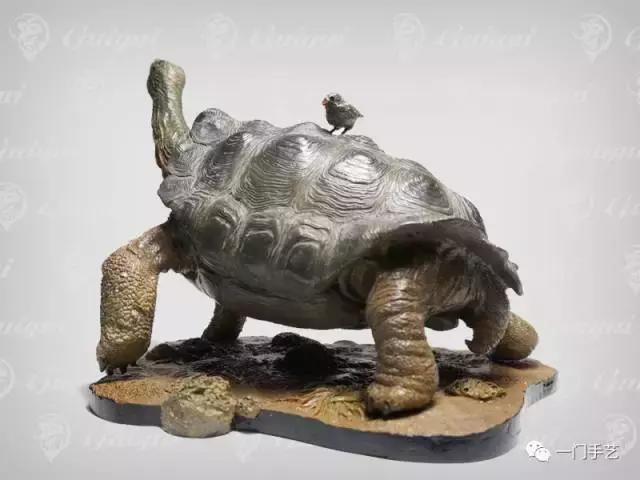 动物模型龟类,乌龟哪个模型好看