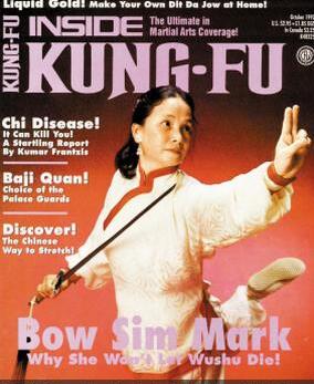 甄子丹在周杰伦演唱会耍双截棍,甄子丹周杰伦谁大