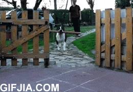 淘宝上的无人机为什么便宜,淘宝上的无人机怎么那么便宜