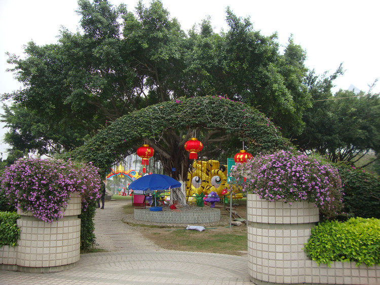 鹭岛靓湖——厦门筼筜湖，海湾公园（厦门深度游39）