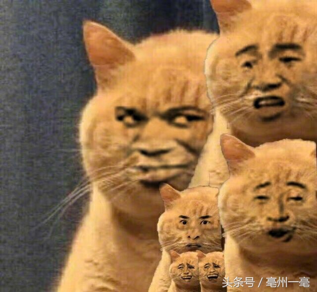 百度宕机了怎么办,百度宕机了是怎么回事