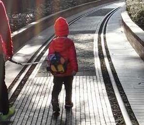 一个人带孩子去厦门自由行,带家长去哪旅游厦门