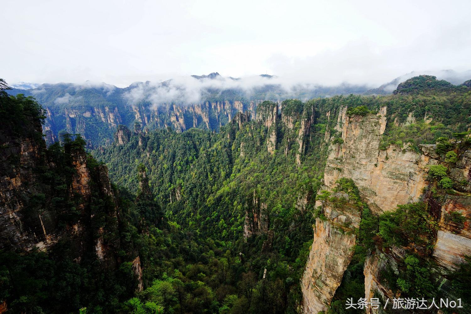 游记张家界8天旅游详细攻略,张家界天门山森林公园美景游记