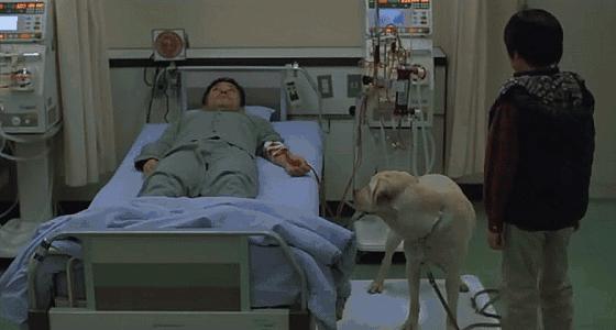 这些猫狗男女都爱看