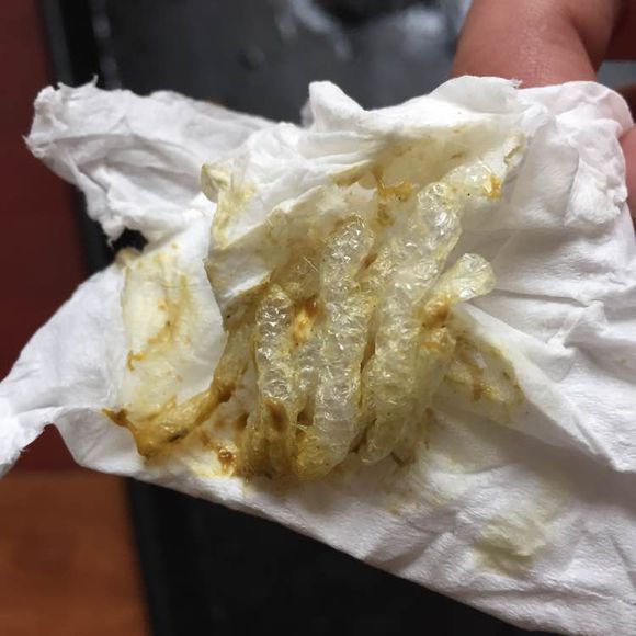 幼犬哈士奇5个小时拉三次,幼犬哈士奇需要注意什么