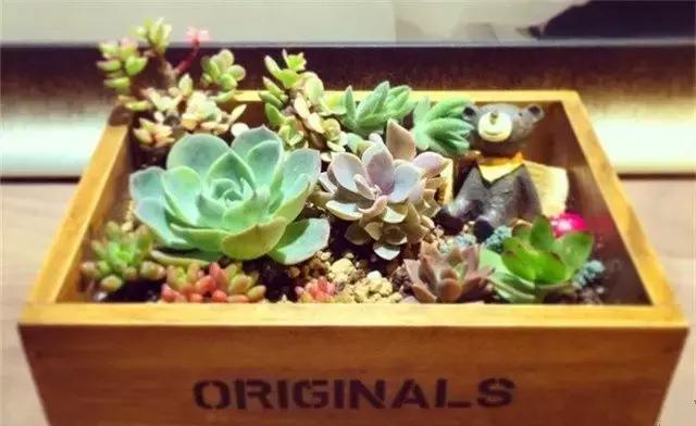 合肥可以diy的店铺,合肥DIY店有吗