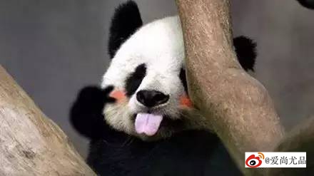 画下眼线怎样才能不晕,画眼线眼头老是晕妆怎么办