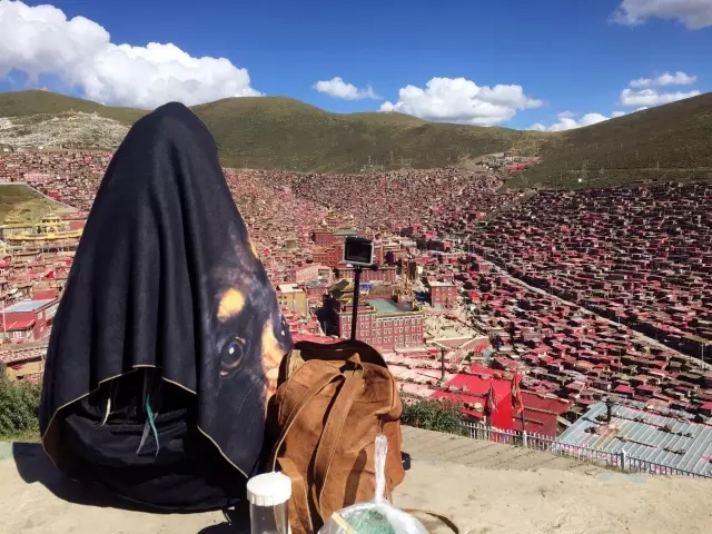 我不是喜欢旅行只是想逃避生活,不是旅行而是生活