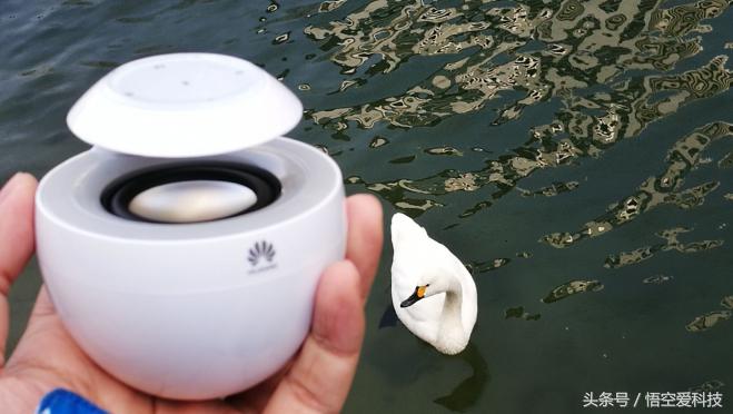 华为小天鹅音响可以改装吗,小天鹅音响华为