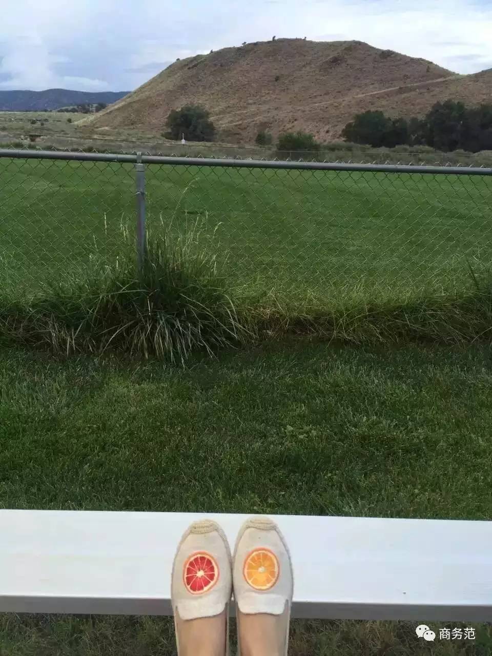 分享自己收到最难忘的礼物,分享出你买过最后悔的东西